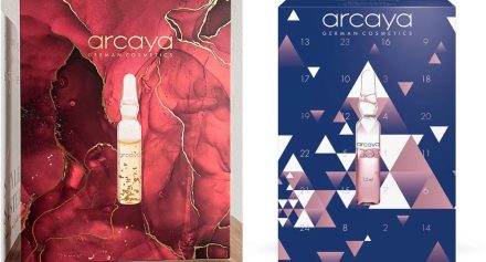 Arcaya Advent Calendar 2022