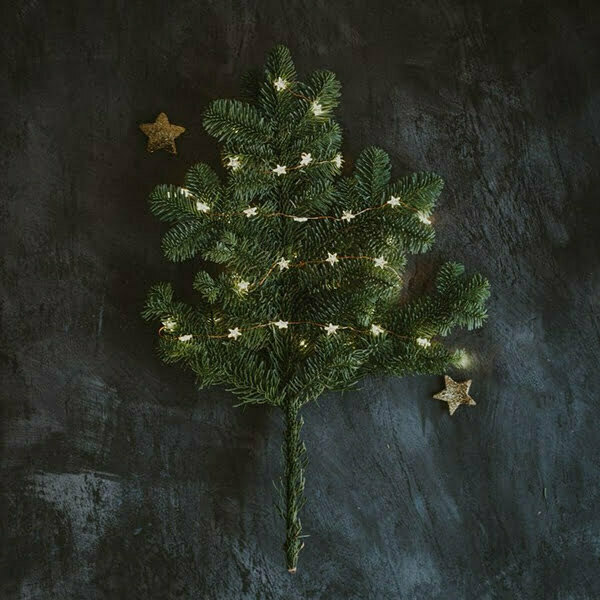 Offers at Content Beauty Wellbeing