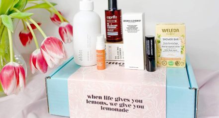 Lemonade Box January 2024