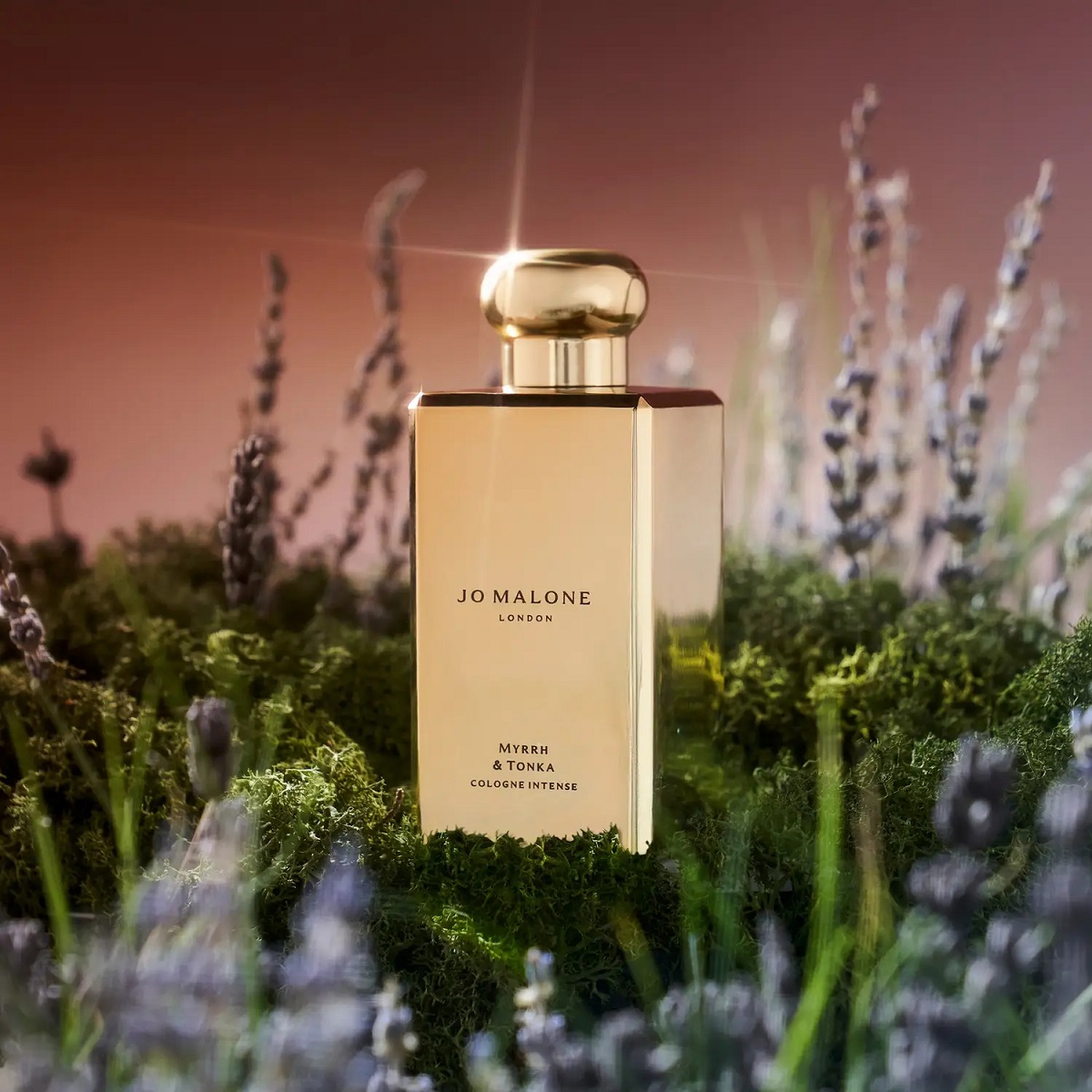 Jo Malone London Special Edition Myrrh & Tonka Cologne Intense