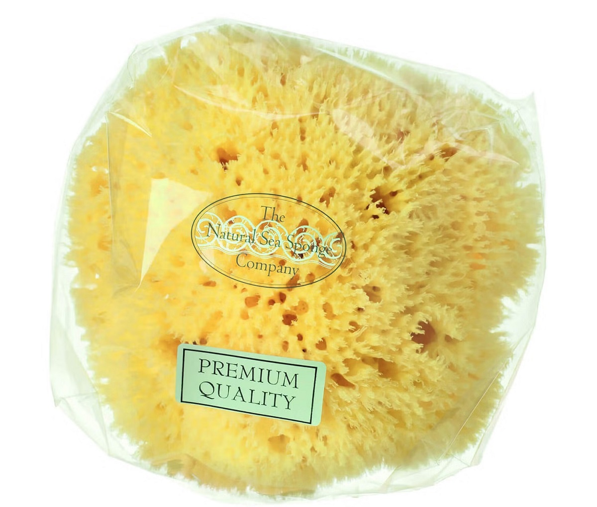 Hydrea London Sea Sponge