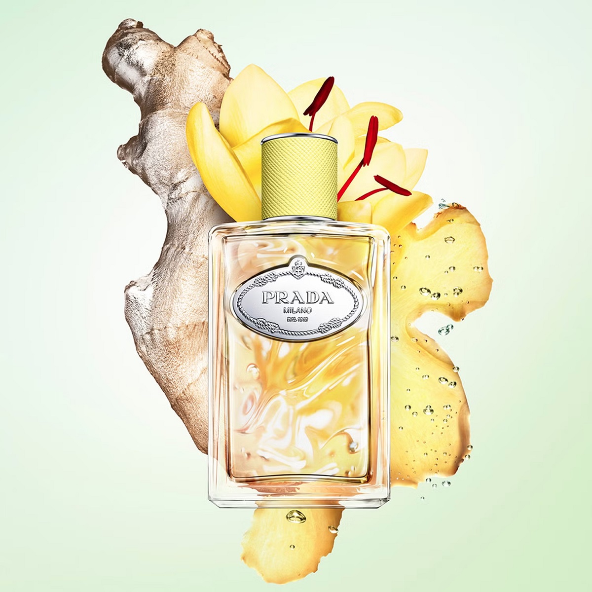 Prada Les Infusions de Gingembre Eau de Parfum