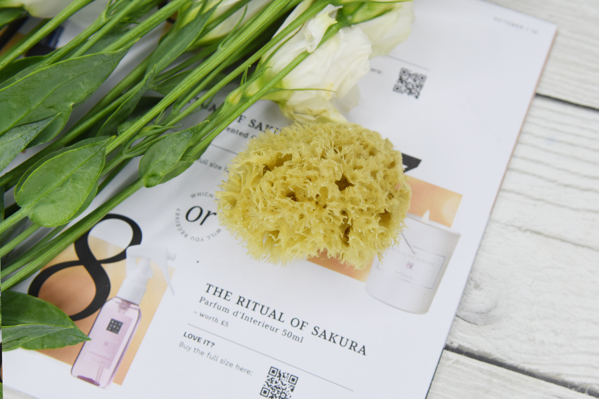 Hydrea Fina Silk Natural Honeycomb Sea Sponge 