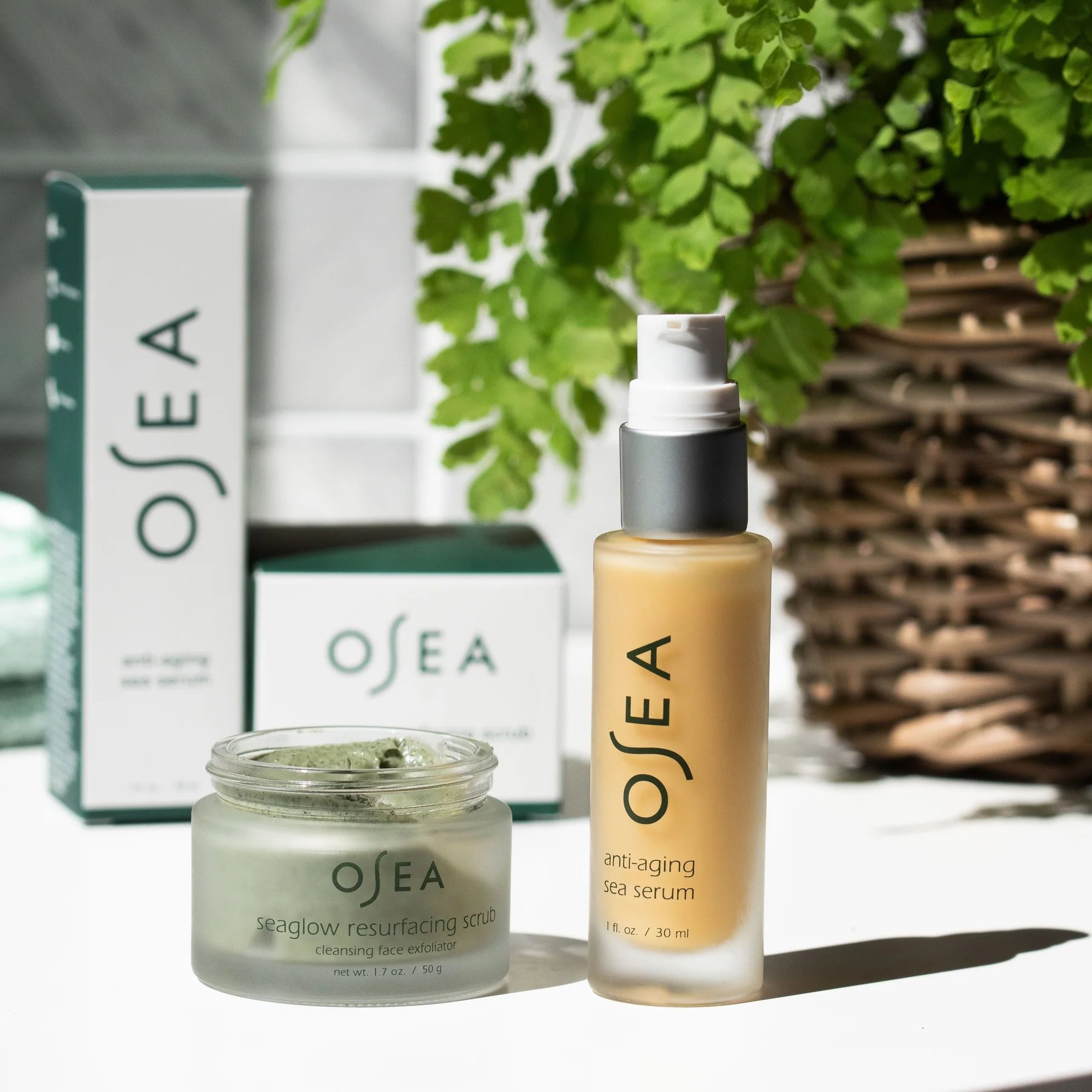 OSEA Malibu x Laurel & Reed Box 2024