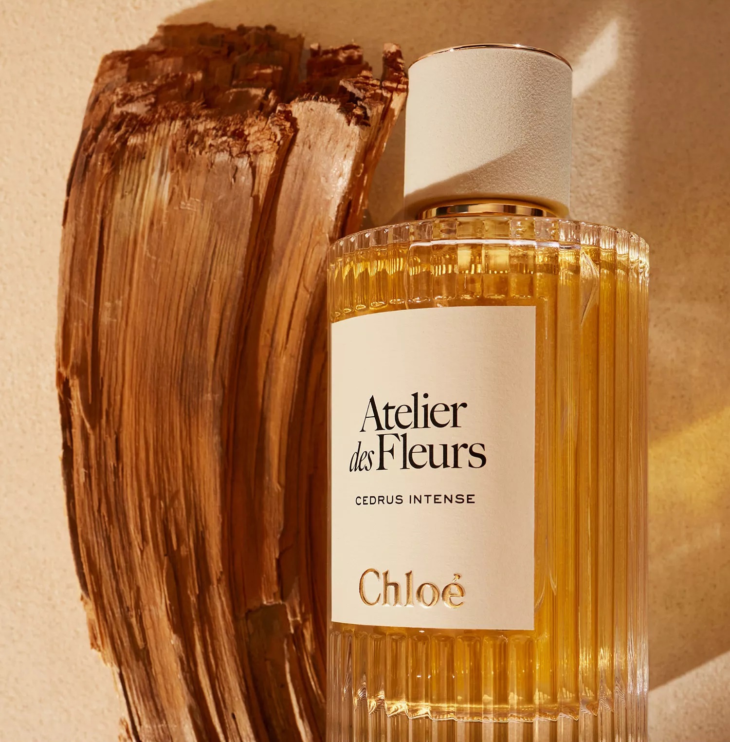 Chloe Atelier des Fleurs Cedrus Intense Eau de Parfum Chloe Atelier des Fleurs Cedrus Intense Eau de Parfum