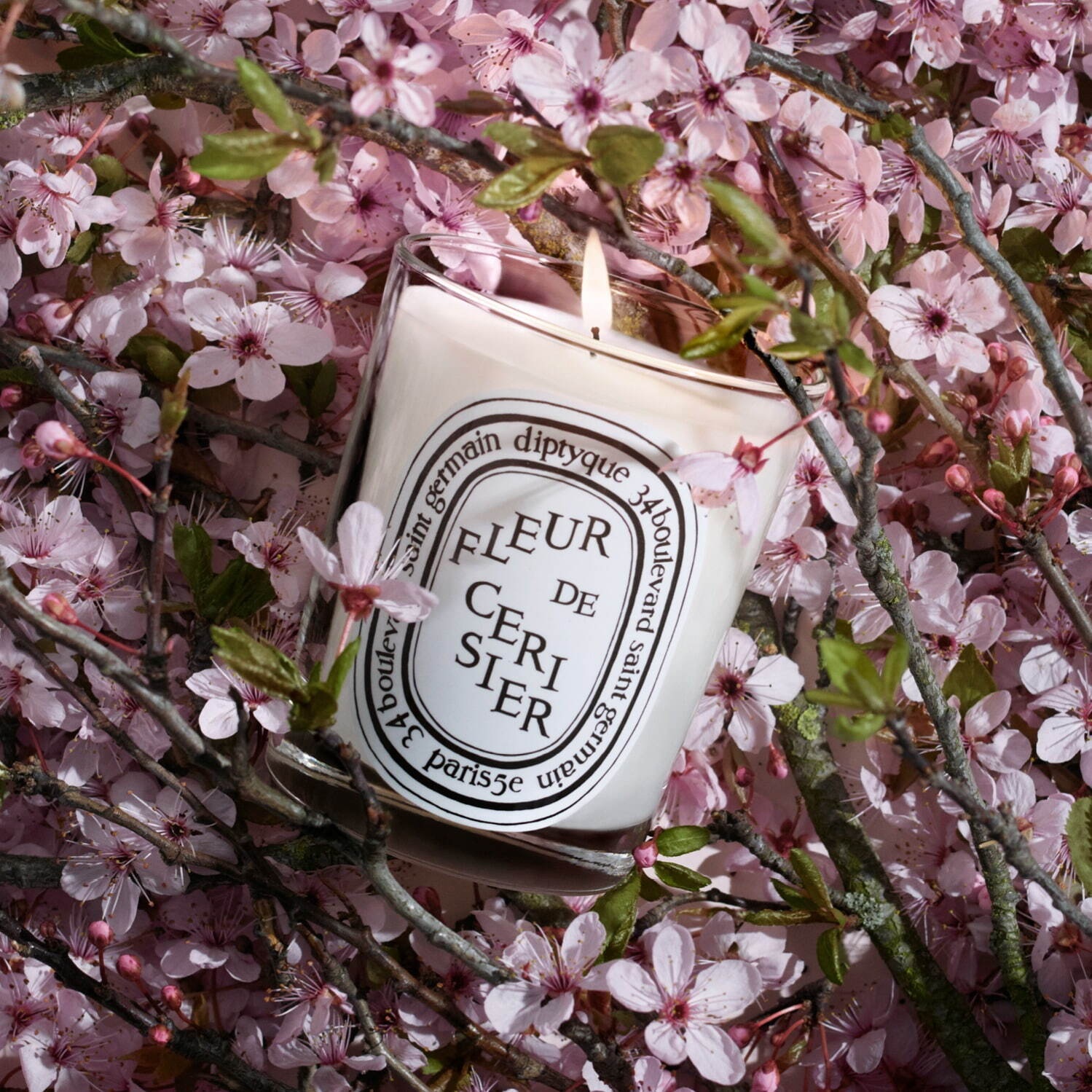 Diptyque Cherry Blossom Candle Diptyque Cherry Blossom Candle