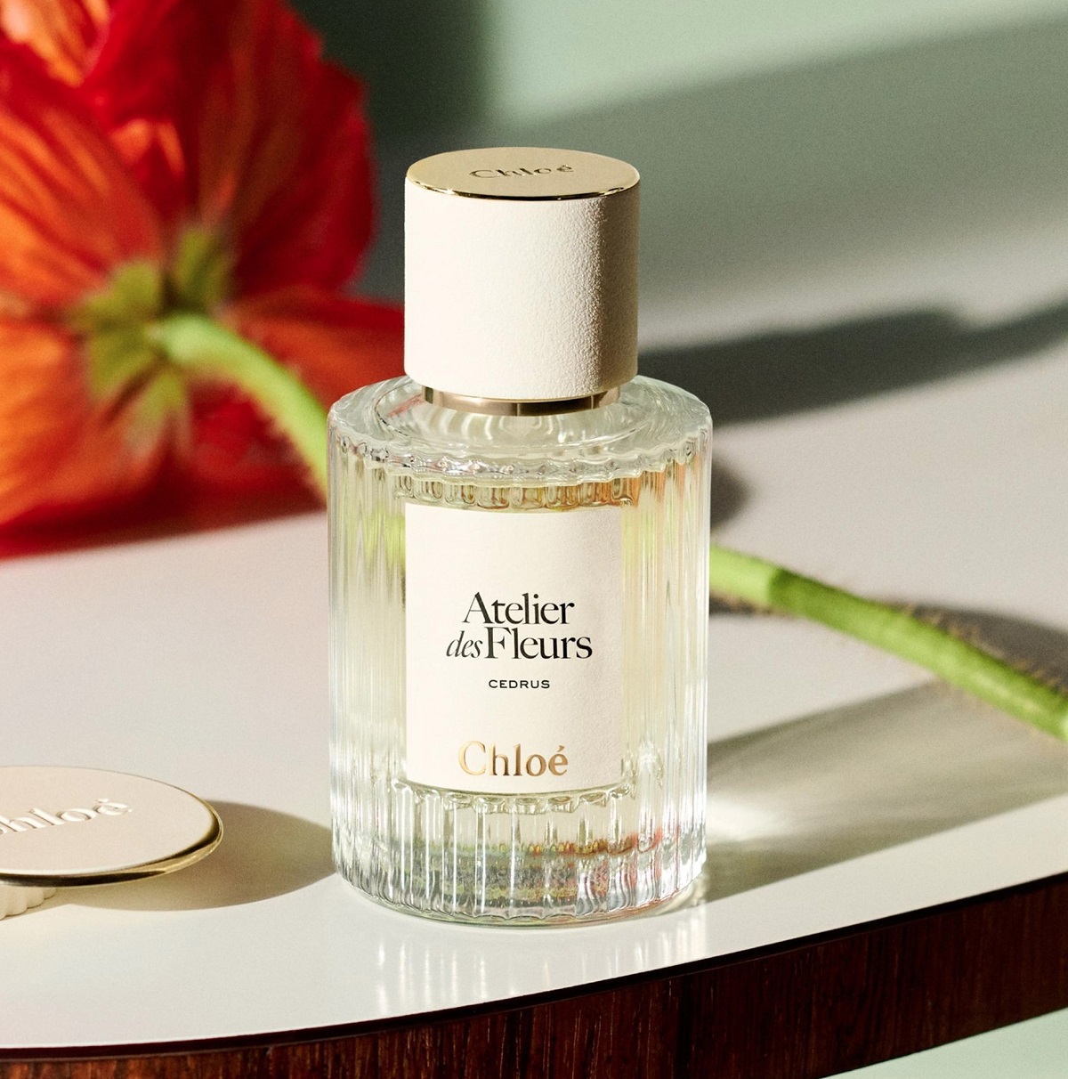 Chloé Atelier des Fleurs Cedrus Solid Perfume Chloé Atelier des Fleurs Cedrus Solid Perfume