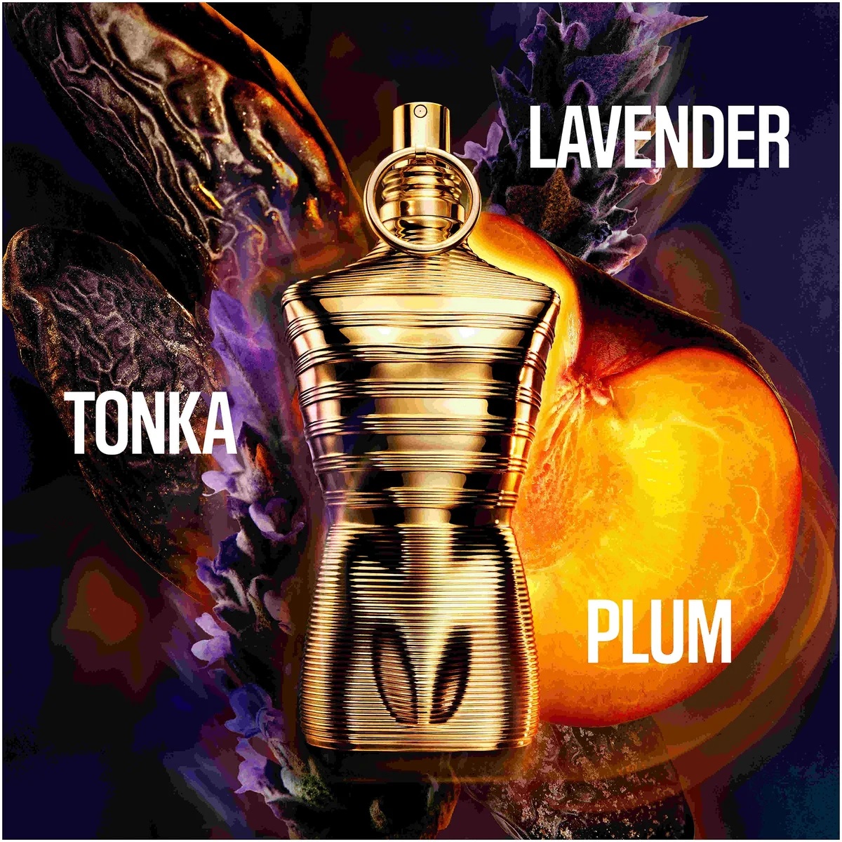 Jean Paul Gaultier Le Male Elixir Absolu Eau de Parfum Jean Paul Gaultier Le Male Elixir Absolu Eau de Parfum