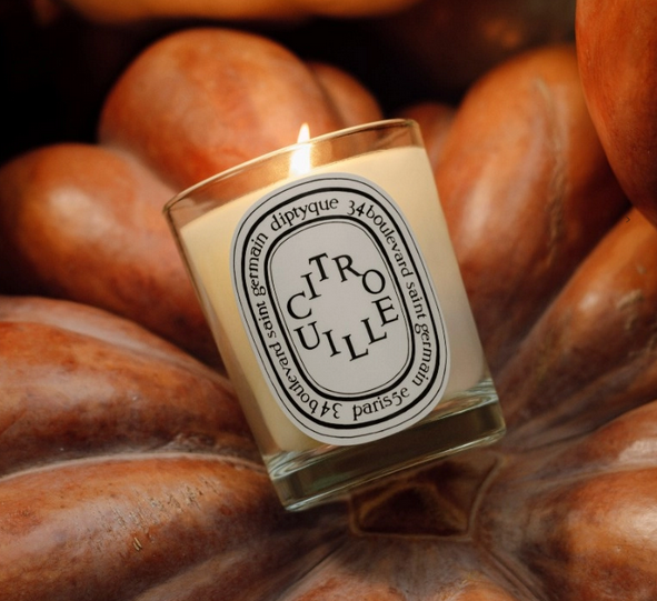 Diptyque Citrouille (Pumpkin) Classic Candle